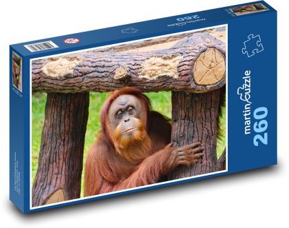 Orangurtan - opice, zviera - Puzzle 260 dielikov, rozmer 41x28,7 cm