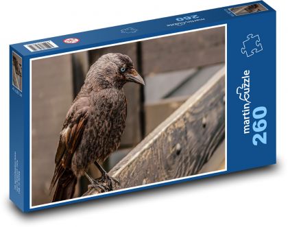 Havran - vták, zviera - Puzzle 260 dielikov, rozmer 41x28,7 cm