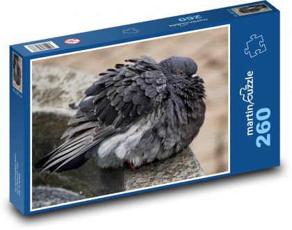 Taube - Vogel, Tier - Puzzle - 260 Teile