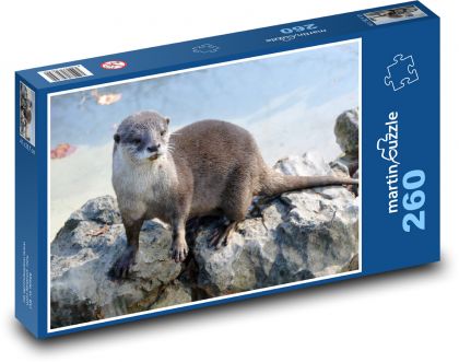 Otter - Säugetier, Tier - Puzzle - 260 Teile