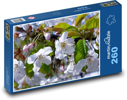 Jarní květ - zahrada, strom - Puzzle 260 dílků, rozměr 41x28,7 cm