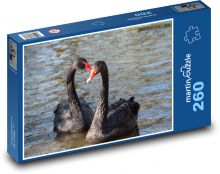 Czarny łabędź - ptak, staw Puzzle 260 elementów - 41x28,7 cm