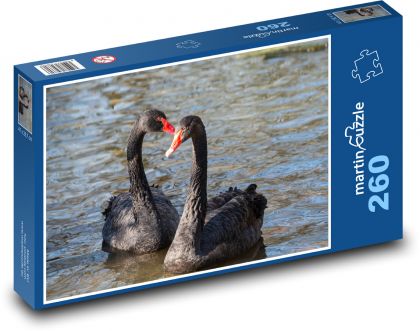 Schwarzer Schwan - Vogel, Teich - Puzzle - 260 Teile