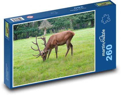 Jelen - park, louka - Puzzle 260 dílků, rozměr 41x28,7 cm