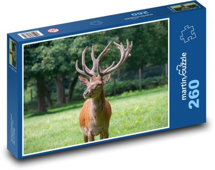 Deer - animal, mammal - Puzzle 260 pieces, size 41x28.7 cm 