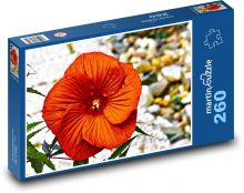 Červený ibišek - květ, zahrada Puzzle 260 - 41x28,7 cm