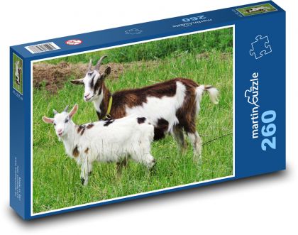 Goat - goat, lamb - Puzzle 260 pieces, size 41x28.7 cm 