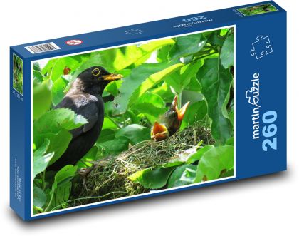 ptačí hnízdo, pták - Puzzle 260 dílků, rozměr 41x28,7 cm