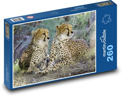 Gepard - divoká kočka, Afrika - Puzzle 260 dílků, rozměr 41x28,7 cm