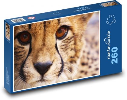 Gepard - zvíře, savec - Puzzle 260 dílků, rozměr 41x28,7 cm