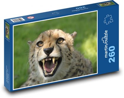 Cheetah - cat, Africa - Puzzle 260 pieces, size 41x28.7 cm 