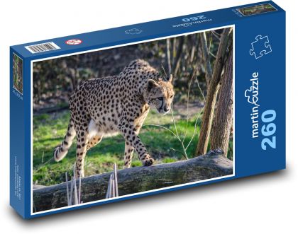 Cheetah - nature, zoo - Puzzle 260 pieces, size 41x28.7 cm 