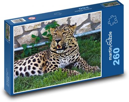 Levhart - kočkovitá šelma, zoo - Puzzle 260 dílků, rozměr 41x28,7 cm