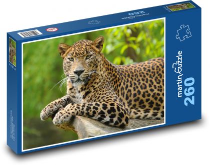 Leopard - cat, animal - Puzzle 260 pieces, size 41x28.7 cm 