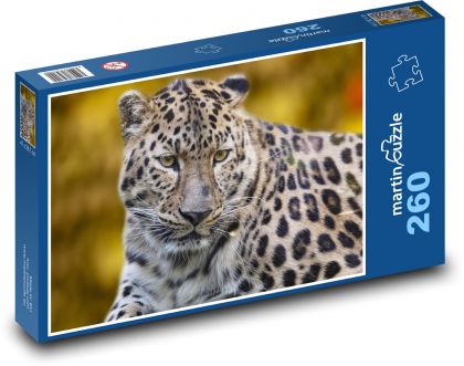 Leopard - dravec, zvíře - Puzzle 260 dílků, rozměr 41x28,7 cm