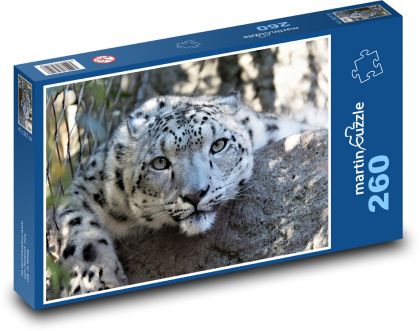 Leopard - veľká mačka, šelma - Puzzle 260 dielikov, rozmer 41x28,7 cm