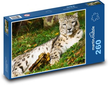 Leopard - zvíře, kočka - Puzzle 260 dílků, rozměr 41x28,7 cm