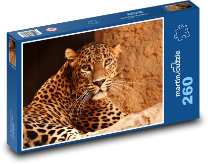 Leopard - velká kočka, zvíře - Puzzle 260 dílků, rozměr 41x28,7 cm