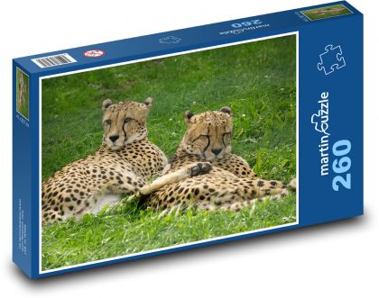 Gepard - divá mačka, zviera - Puzzle 260 dielikov, rozmer 41x28,7 cm