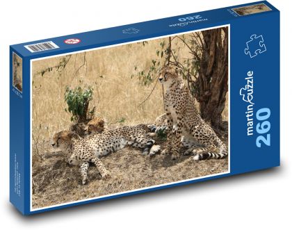 Gepard - savana, Safari - Puzzle 260 dílků, rozměr 41x28,7 cm