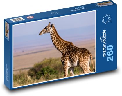 Žirafa - zvíře, savana - Puzzle 260 dílků, rozměr 41x28,7 cm