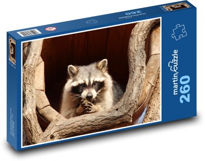 Waschbär - Säugetier, Tier - Puzzle - 260 Teile