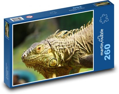 Iguana - jašterica, plaz - Puzzle 260 dielikov, rozmer 41x28,7 cm