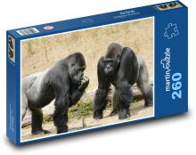 Gorila - dvě opice Puzzle 260 dílků - 41 x 28,7 cm