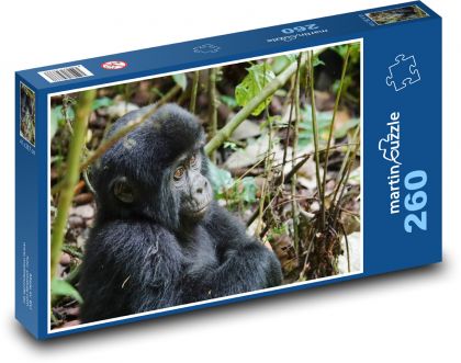 Gorila - největší primát, mládě - Puzzle 260 dílků, rozměr 41x28,7 cm