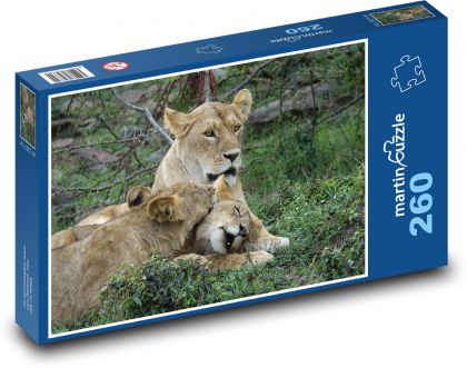 Lvi - Safari, Keňa - Puzzle 260 dílků, rozměr 41x28,7 cm
