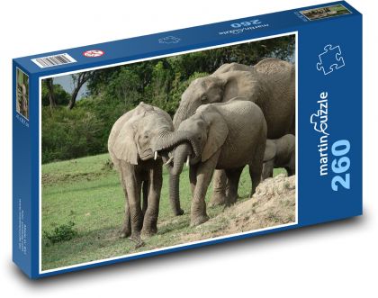 Elephant - animal, Kenya - Puzzle 260 pieces, size 41x28.7 cm 