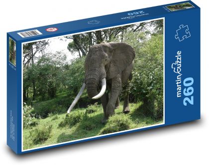 Słoń - zwierzę, natura - Puzzle 260 elementów, rozmiar 41x28,7 cm