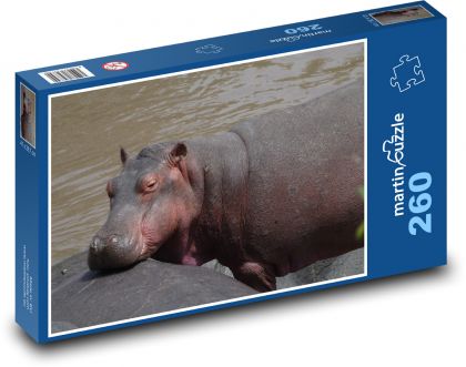 Hroch - voda, zviera - Puzzle 260 dielikov, rozmer 41x28,7 cm