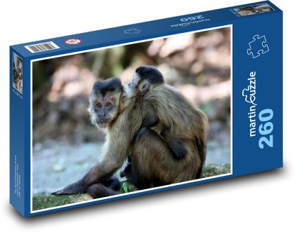Opice - mládě, zvíře, zoo - Puzzle 260 dílků, rozměr 41x28,7 cm