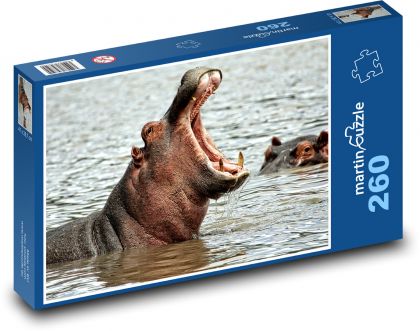 Hippo - Africa, Safari - Puzzle 260 pieces, size 41x28.7 cm 