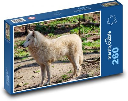 White Wolf - Wild Animal - Puzzle 260 pieces, size 41x28.7 cm 