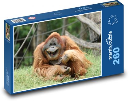 Vysmátý orangutan - opice, zoo - Puzzle 260 dílků, rozměr 41x28,7 cm
