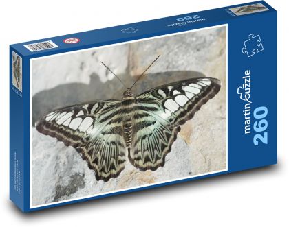 Motýľ - okrídlený hmyz, fauna - Puzzle 260 dielikov, rozmer 41x28,7 cm