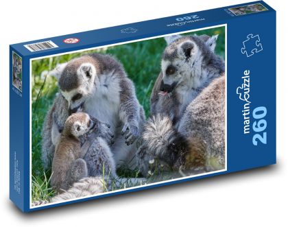 Lemur - monkey, cub - Puzzle 260 pieces, size 41x28.7 cm 