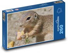 Murmeltier - Nagetier, hungrig Puzzle 260 Teile - 41 x28,7 cm