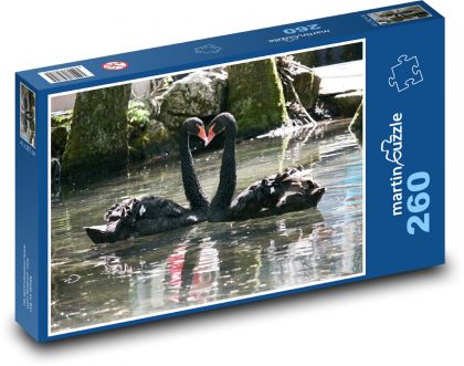 Black Swan - Heart, Animal - Puzzle 260 pieces, size 41x28.7 cm 