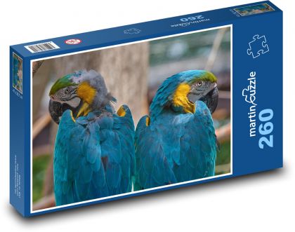 Papoušek ara - modrý pták, zobák - Puzzle 260 dílků, rozměr 41x28,7 cm
