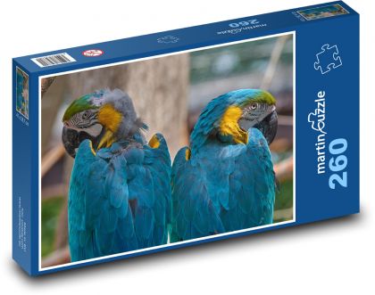 Papagei ara - blauer Vogel, Schnabel - Puzzle - 260 Teile
