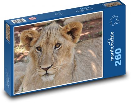 Lwica - dziki kot, ssak - Puzzle 260 elementów, rozmiar 41x28,7 cm