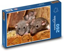 Myš - hlodavec, zviera Puzzle 260 dielikov - 41 x 28,7 cm 