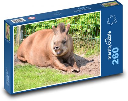 Tapír - zoo, zviera - Puzzle 260 dielikov, rozmer 41x28,7 cm