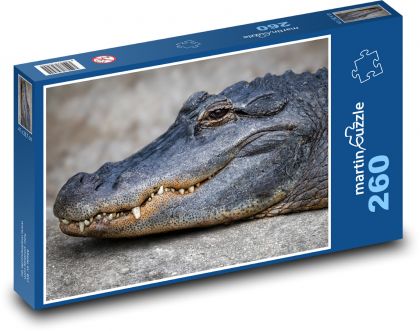 Aligátor - krokodýl, plaz - Puzzle 260 dílků, rozměr 41x28,7 cm