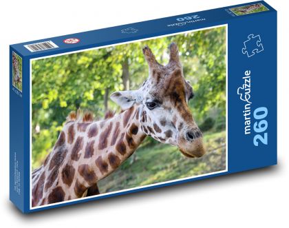 Žirafa - hlava, krk - Puzzle 260 dílků, rozměr 41x28,7 cm