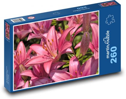 Růžová lilie - květina, květy  - Puzzle 260 dílků, rozměr 41x28,7 cm