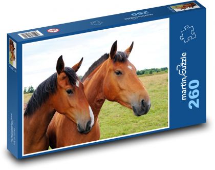 Pferde - braune Pferde - Puzzle - 260 Teile